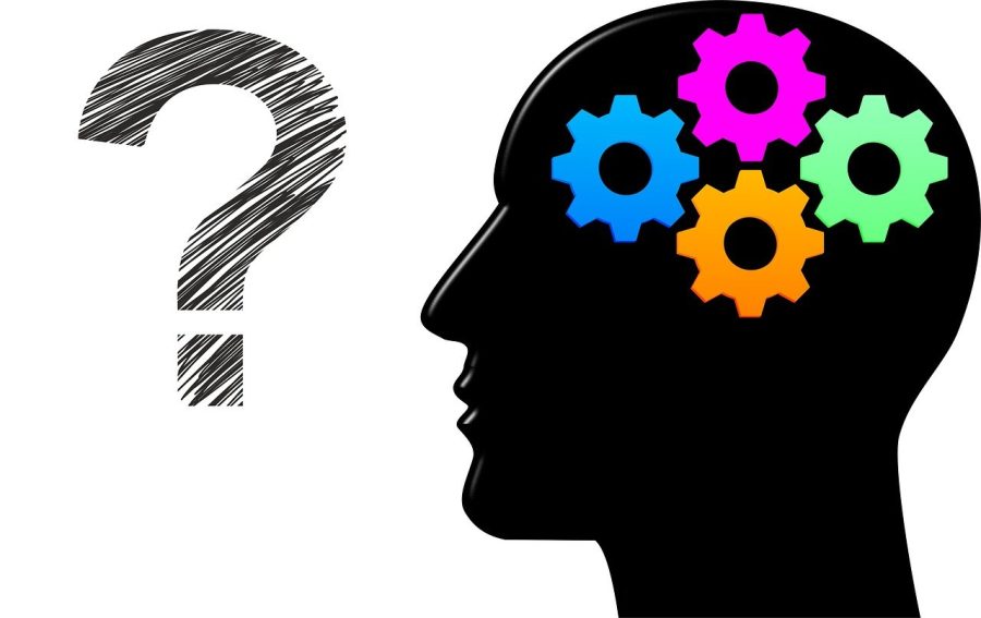 Read more about the article Professori Dave debunkattu